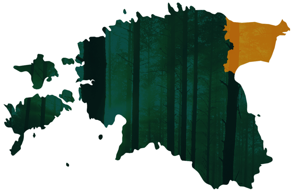 Virumaa Metsaühistu piirkond